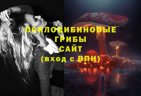трава Балахна