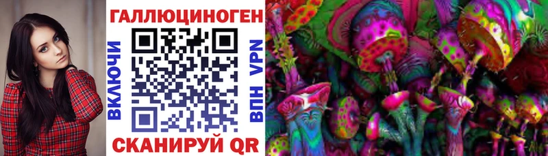 Псилоцибиновые грибы Psilocybine cubensis  Корсаков 
